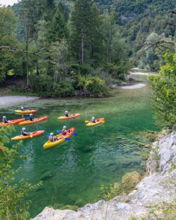 sava-bohinjka