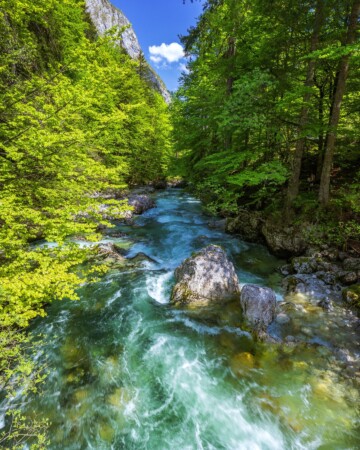 sava-bohinjka2