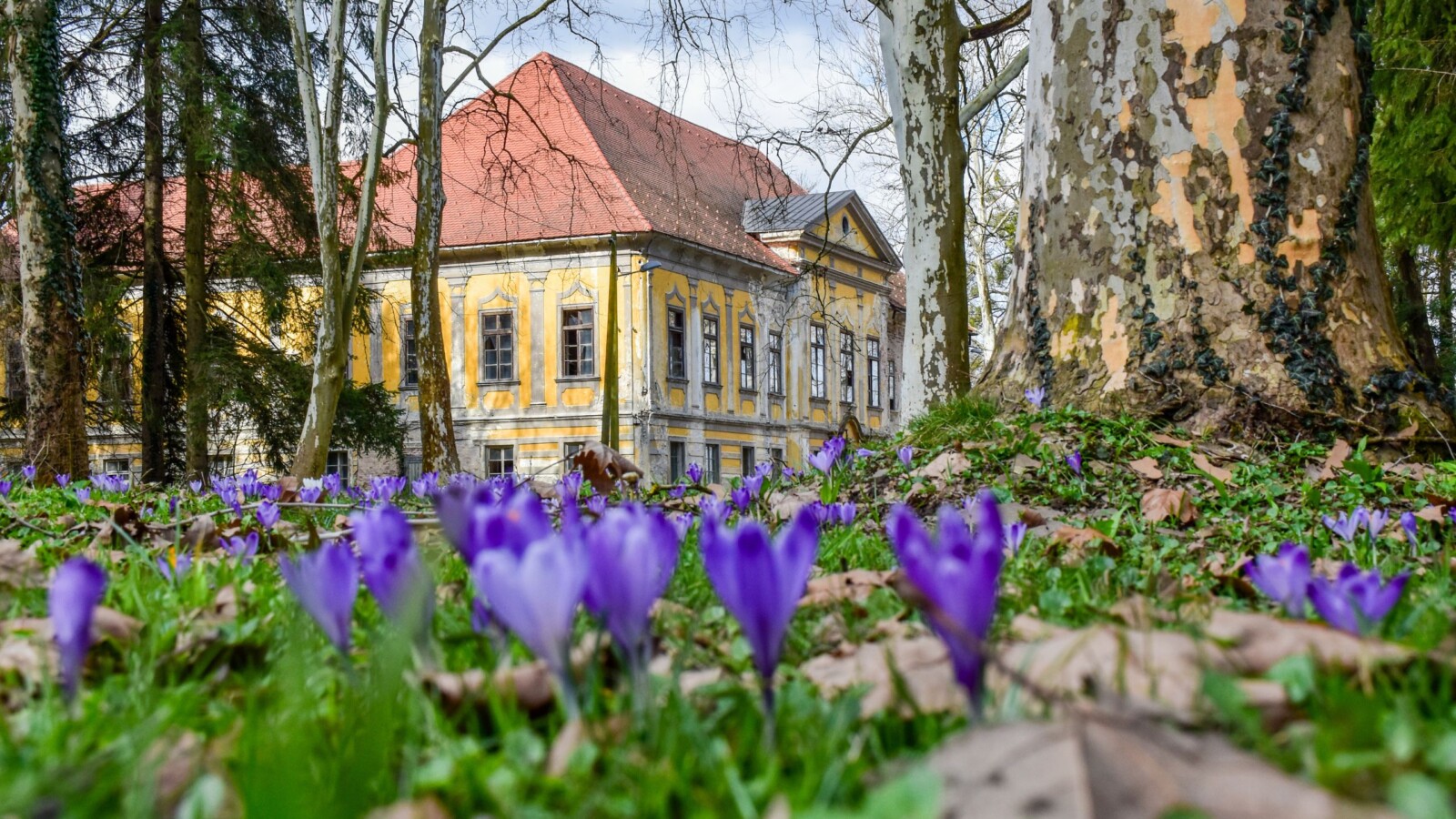 oroslavje-dvorac