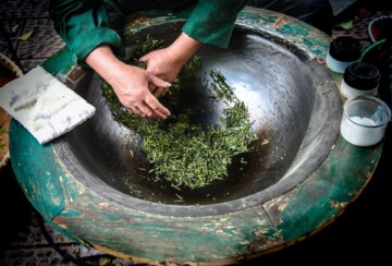 Longjing caj Kina1