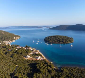 Molat