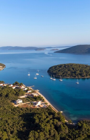 Molat