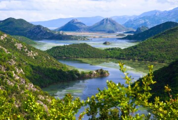 Skadarsko jezero Crna Gora