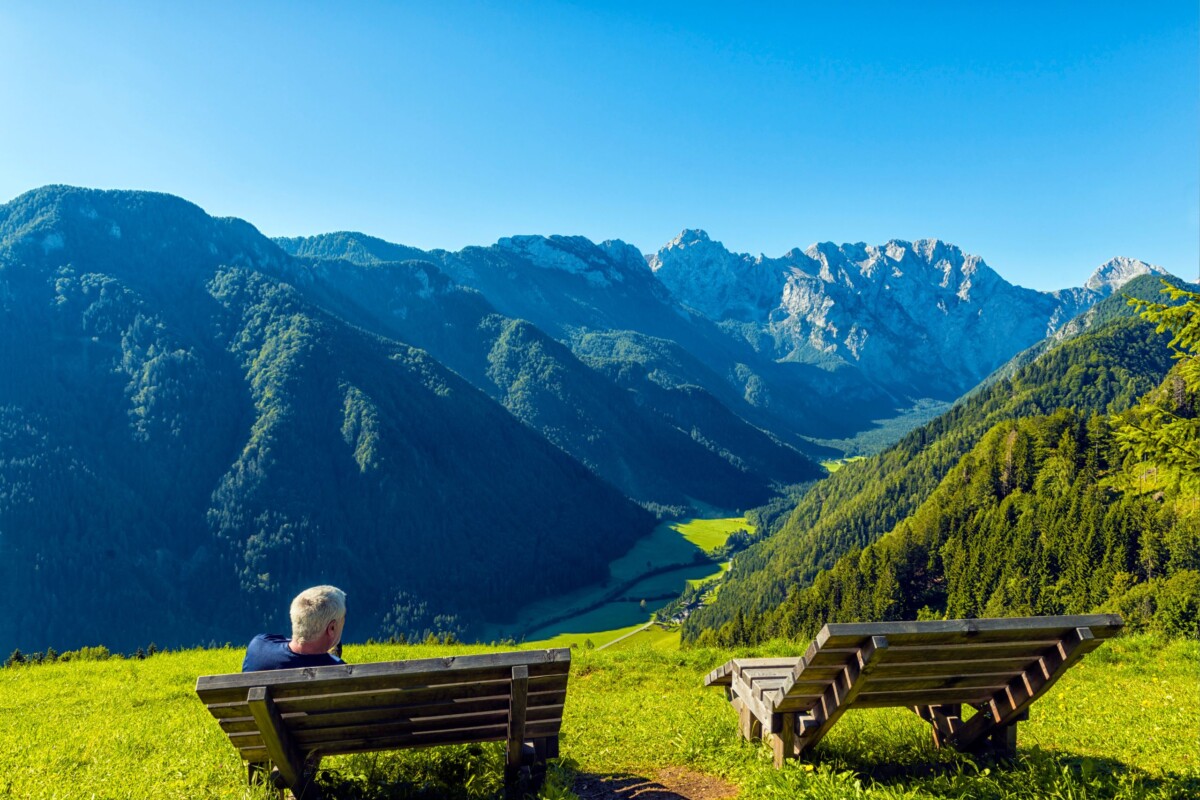 bajkovita-suma-slovenija-naslovna