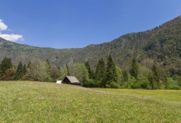 dolina-voje-slovenija-1