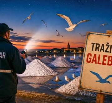 galebar