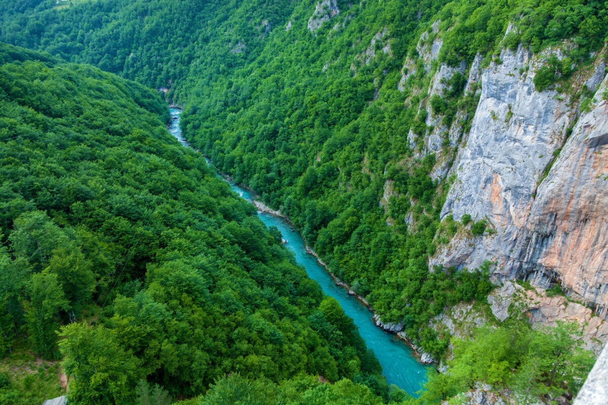 kanjon rijeke Tare4