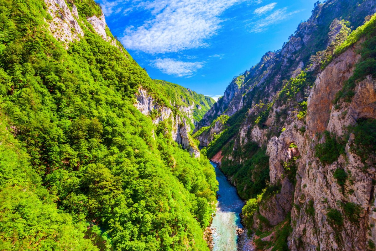 kanjon rijeke Tare5