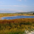 kolanjsko-blato-otok-pag-2