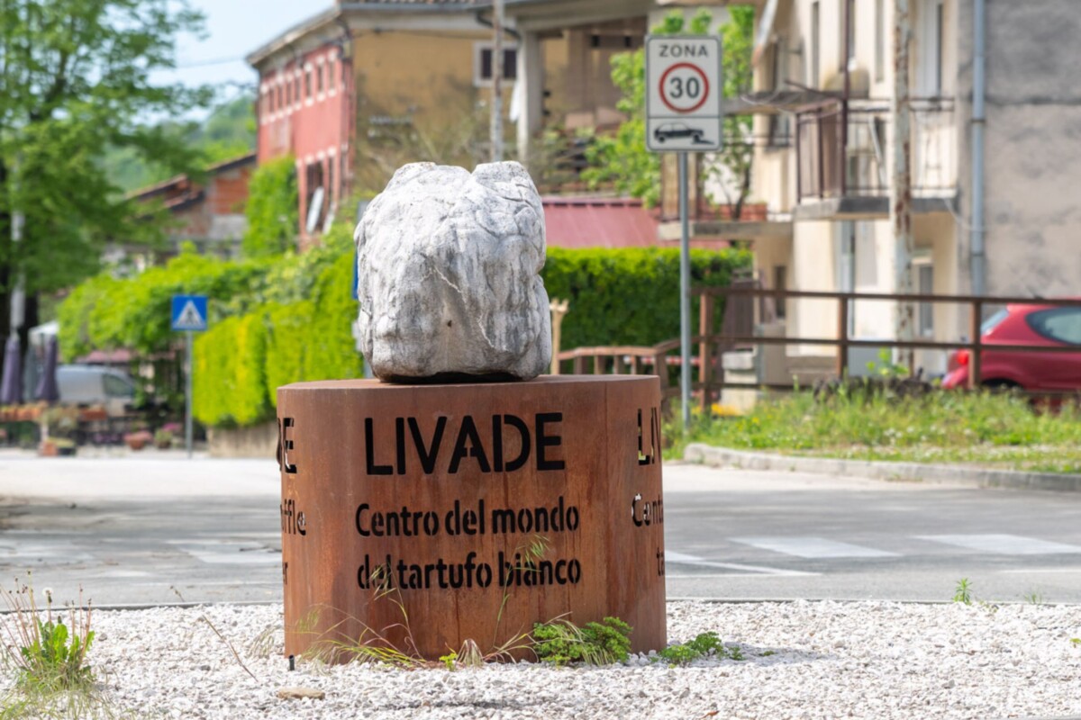 livade-centar-svijeta-tartufa-1