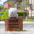 livade-centar-svijeta-tartufa-1