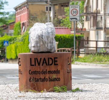 livade-centar-svijeta-tartufa-1