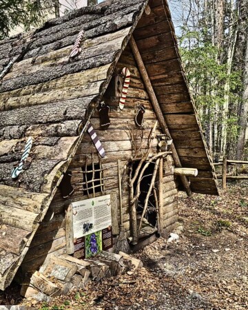 logarska-bajkovita-suma-2