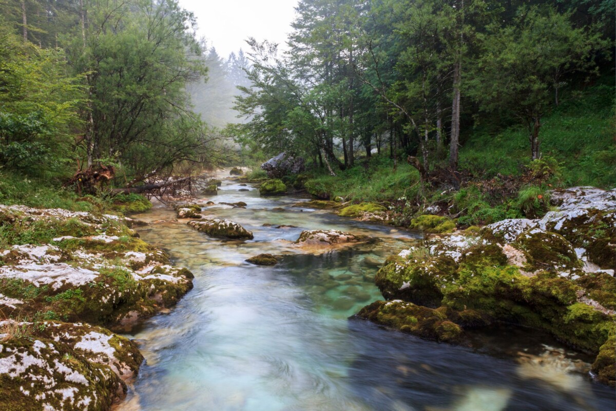 mostnica-rijeka-naslovna