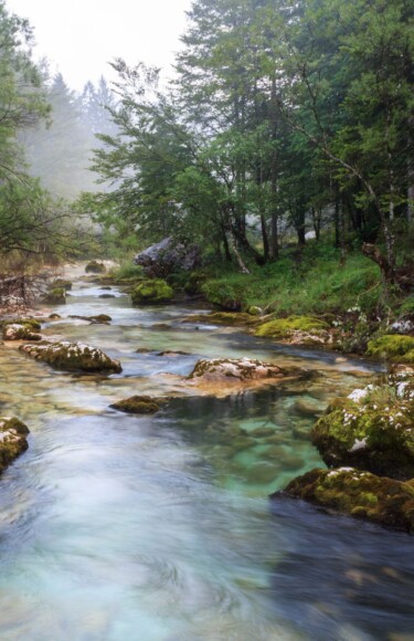mostnica-rijeka-naslovna