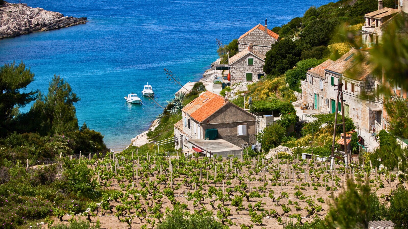 otok-bisevo