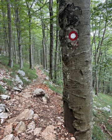 park-prirode-učka-uspon-na-vojak