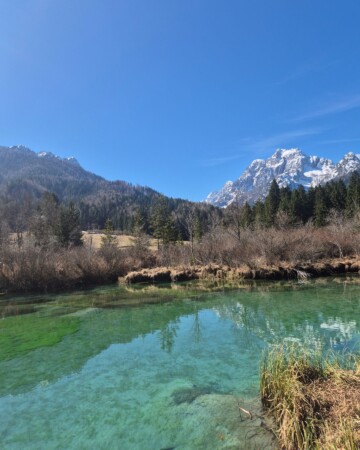 zelenci-sava