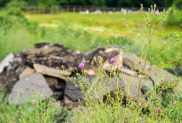 Centralia SAD2