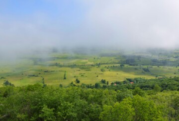 Lika Licko polje