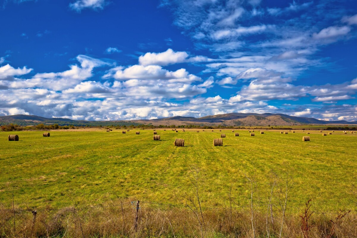 Lika Licko polje