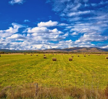 Lika Licko polje