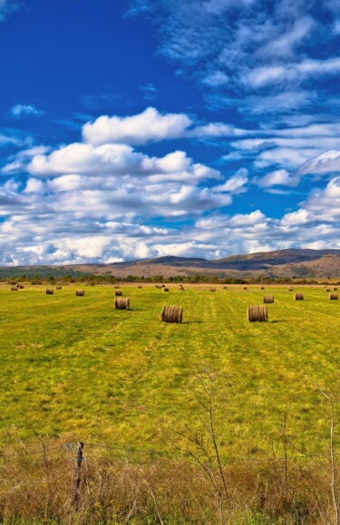 Lika Licko polje