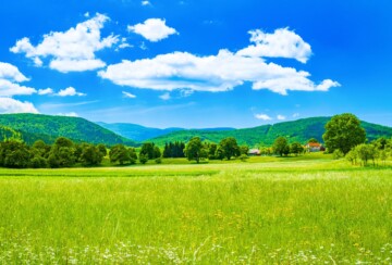 Lika Licko polje2