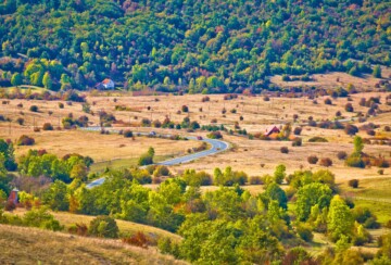 Lika Licko polje3