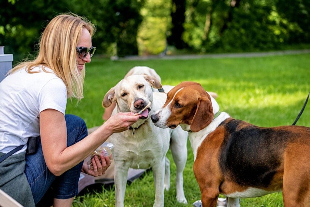 U ovom su kafiću psi ravnopravni gosti, dobivaju poklone i poslastice! Sve je pokrenula Petra, čija događanja prvi put stižu i na more