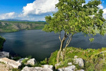 Prolosko blato