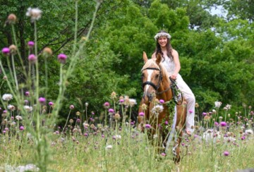 art-farm-filozići-cres-2