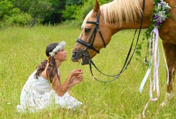 art-farm-filozići-cres