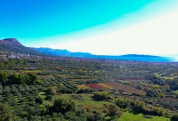 biblijski-vrt-kastela-14