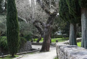 biblijski-vrt-kastela-3