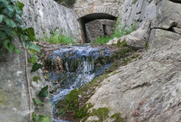 biblijski-vrt-kastela-8
