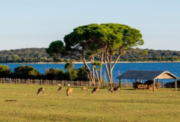 brijuni-zoo