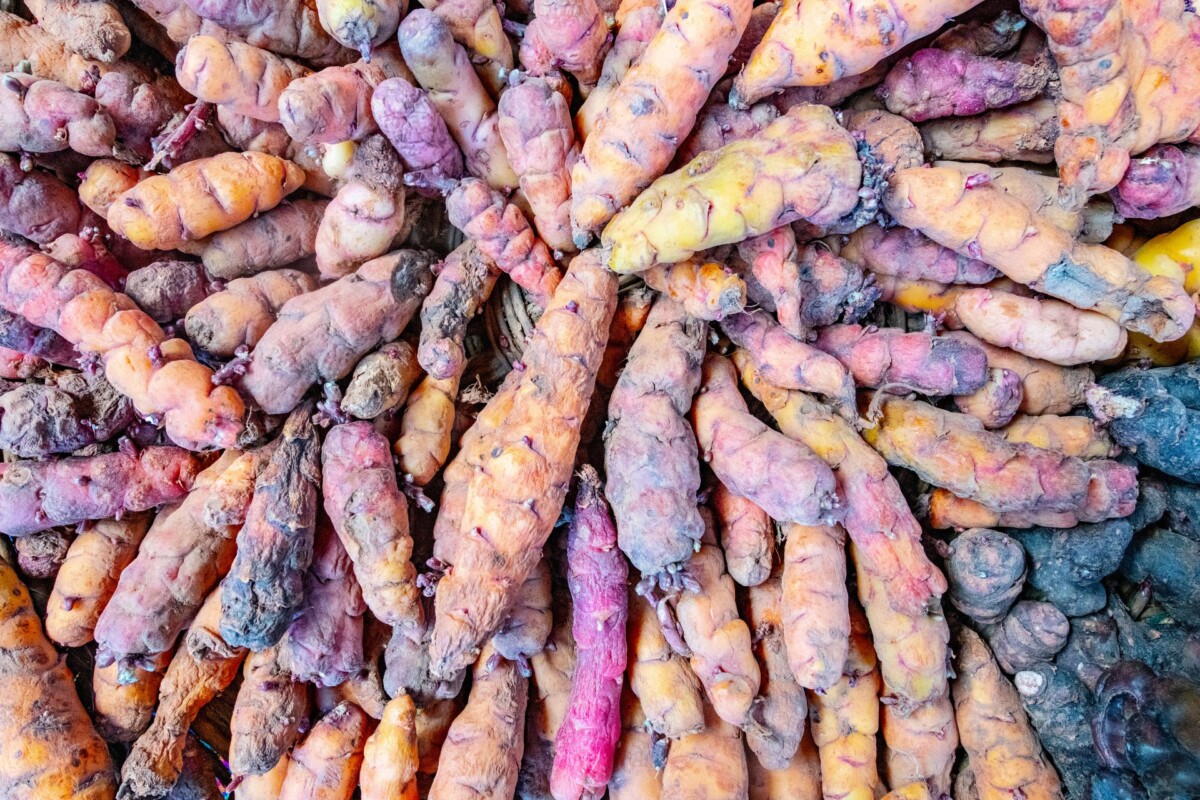 cuvari-krumpira-peru-11