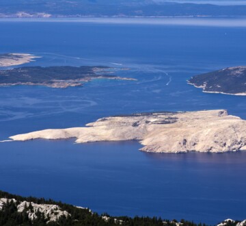 goli-otok