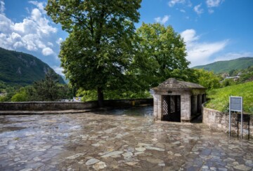 jajce-detalj