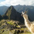 machu-picchu