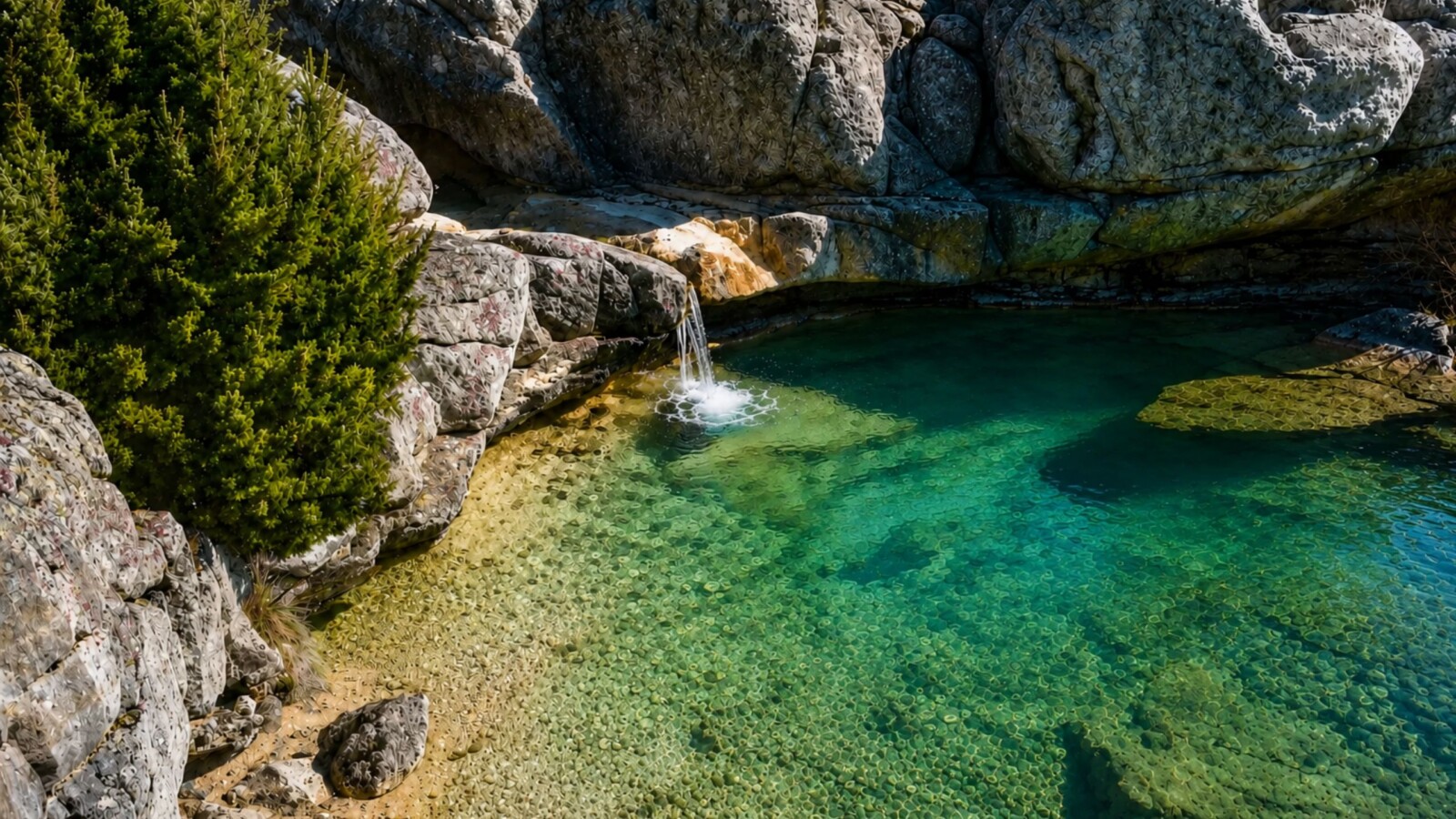 ruzicki-potok-kraj-posusja