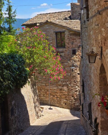 spello-umbrija-12