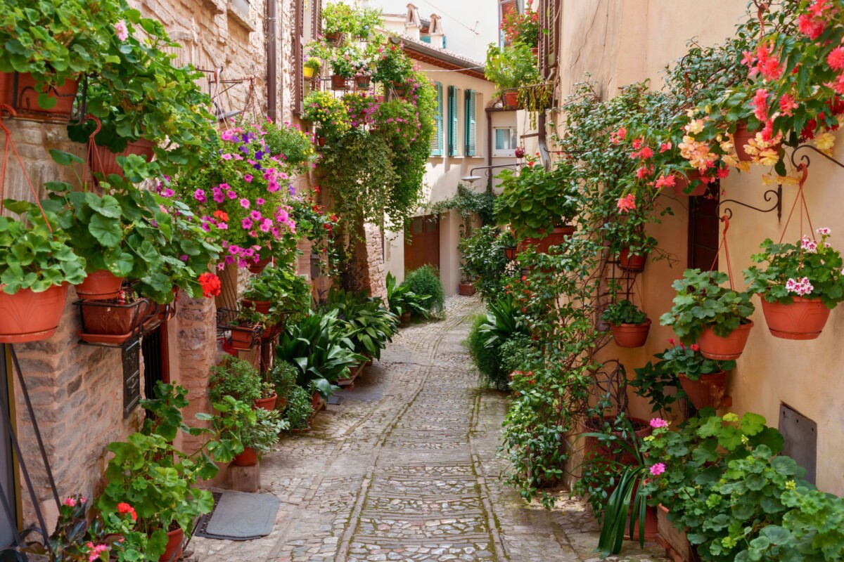spello-umbrija