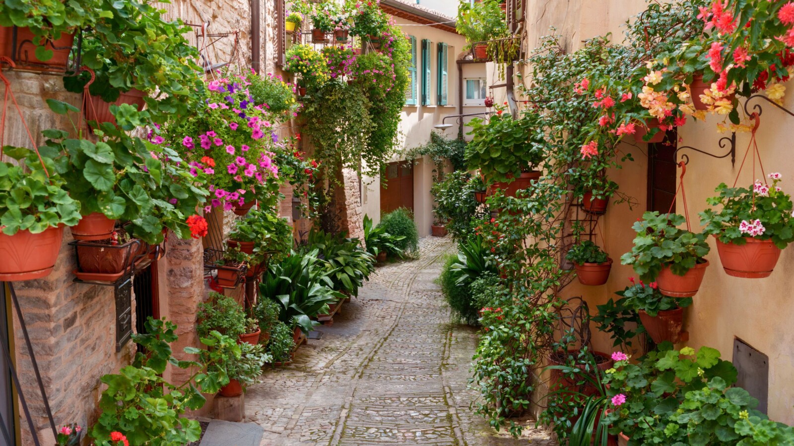 spello-umbrija