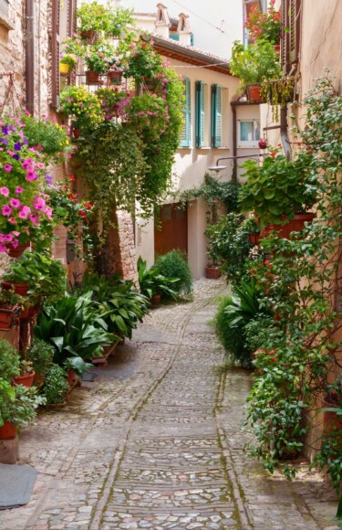 spello-umbrija