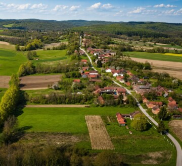 velika-pisanica