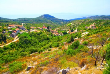 Brusje Hvar2