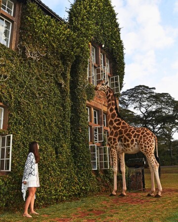 Giraffe Manor Kenija3