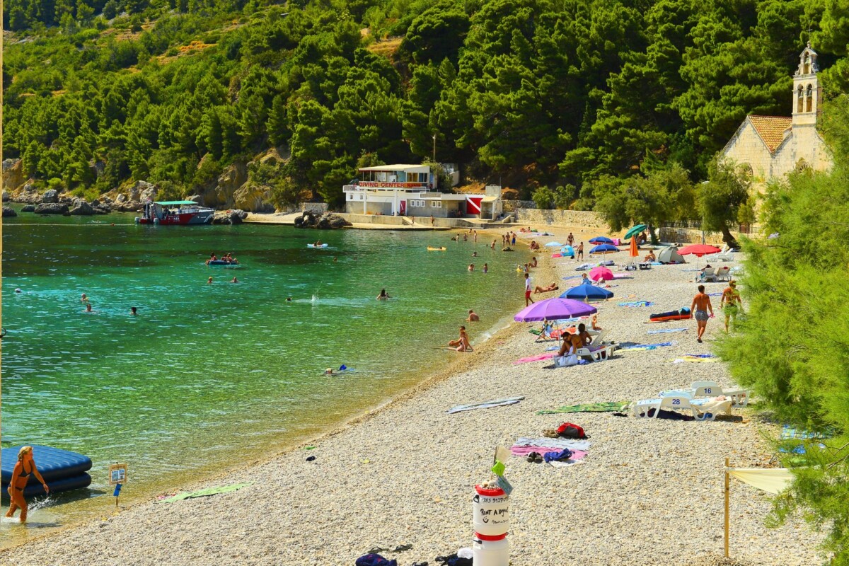 Gusarica Vis Komiza3